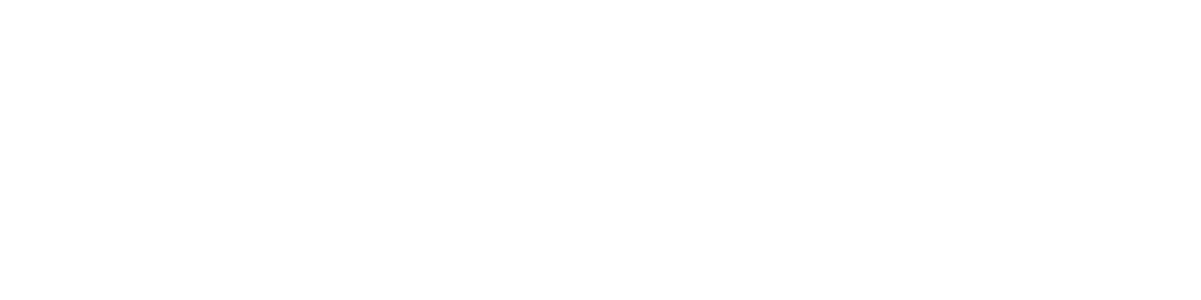 Internet Agencija WS9
